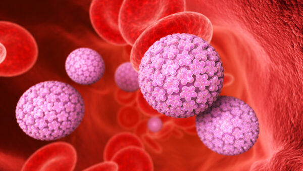 HPV pode ser assintomático e está relacionado a 90% dos casos de câncer de colo do útero
