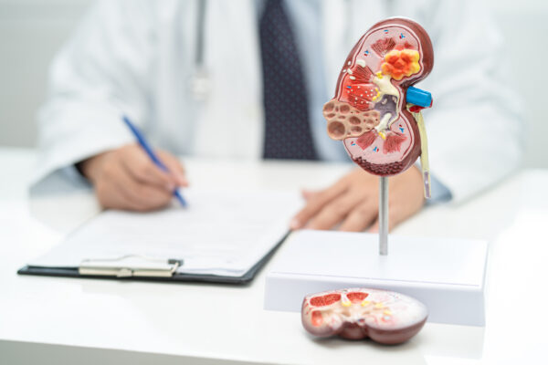 Insuficiência renal afeta cerca de 10% da população brasileira