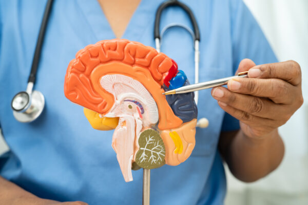 Neurologista é responsável por prevenir, diagnosticar e tratar uma série de doenças